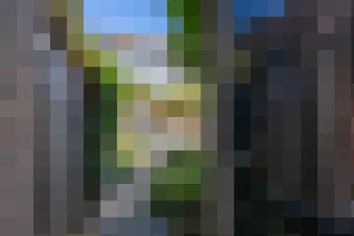 Wadenoijenlaan 415 Tiel thumbnail 31