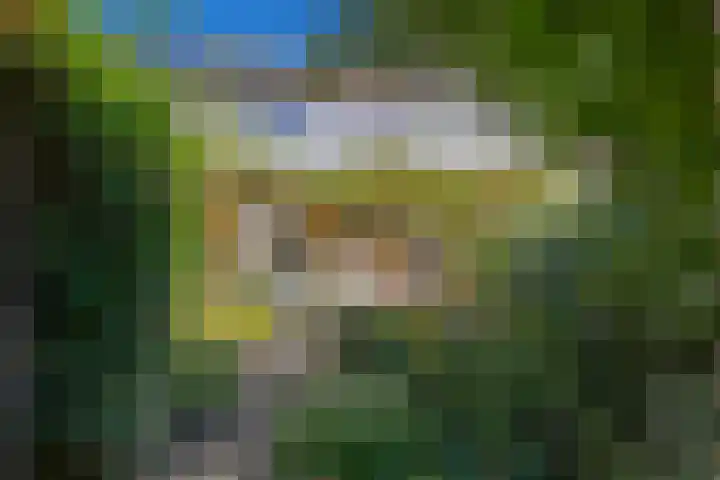 Wadenoijenlaan 415 Tiel thumbnail 32