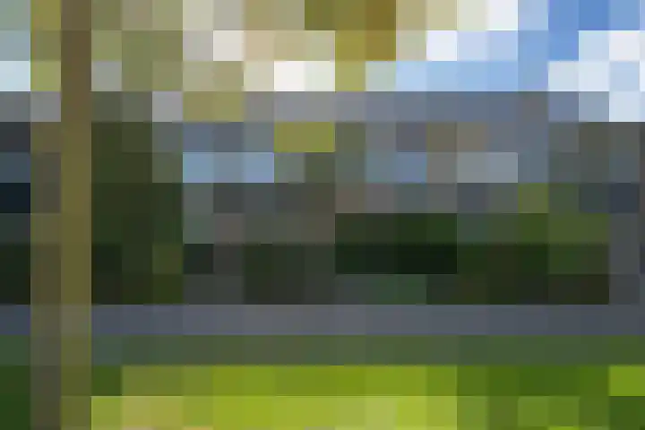 Wadenoijenlaan 415 Tiel thumbnail 4