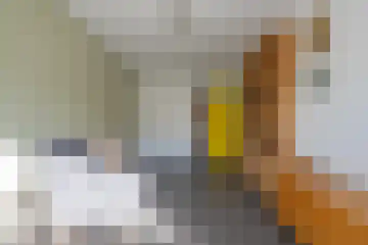 Wadenoijenlaan 415 Tiel thumbnail 41