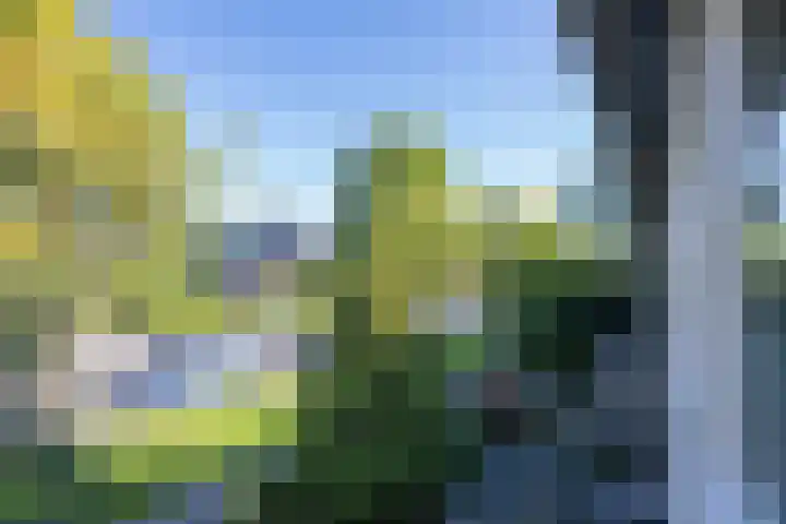 Wadenoijenlaan 415 Tiel thumbnail 47