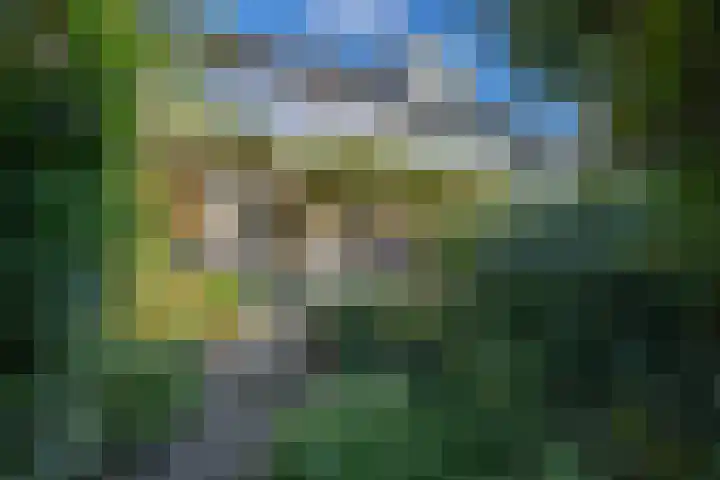 Wadenoijenlaan 415 Tiel thumbnail 52