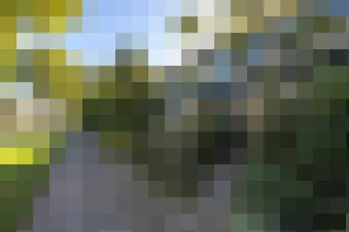 Wadenoijenlaan 415 Tiel thumbnail 6