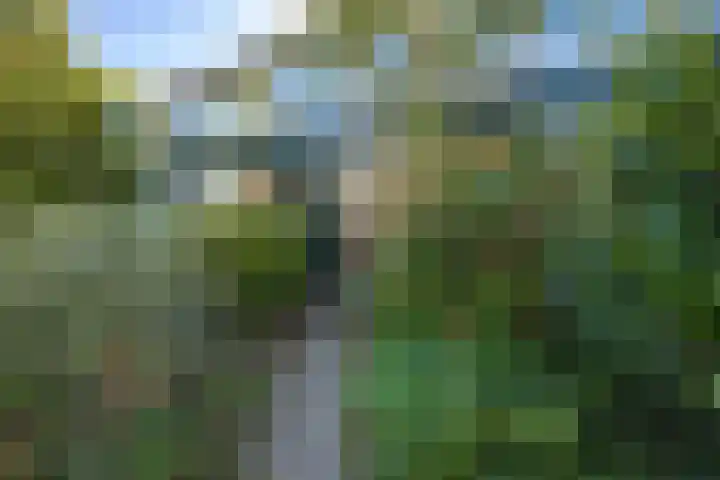 Wadenoijenlaan 415 Tiel thumbnail 7