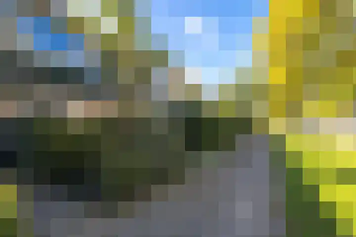 Wadenoijenlaan 415 Tiel thumbnail 8