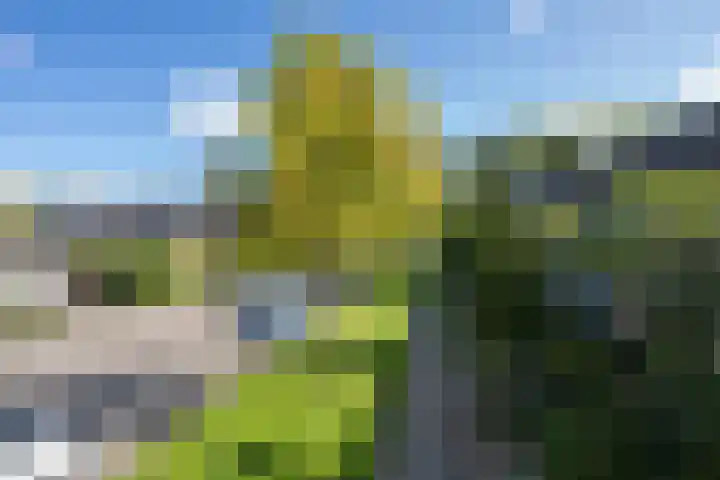 Wadenoijenlaan 415 Tiel thumbnail 9
