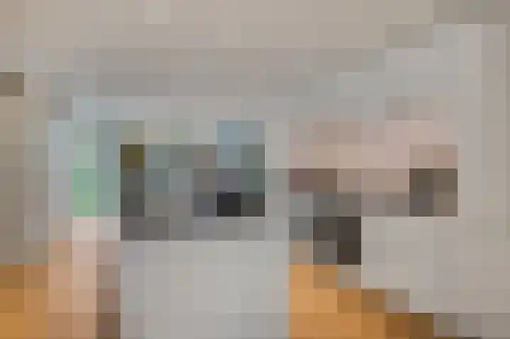 Wadensteinlaan 11 Tiel thumbnail 10