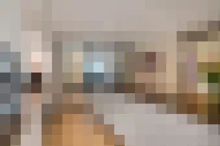 Wadensteinlaan 11 Tiel thumbnail 12