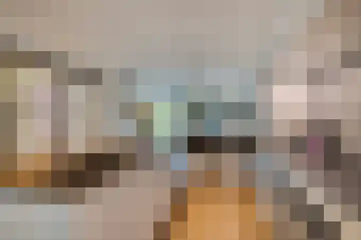 Wadensteinlaan 11 Tiel thumbnail 13