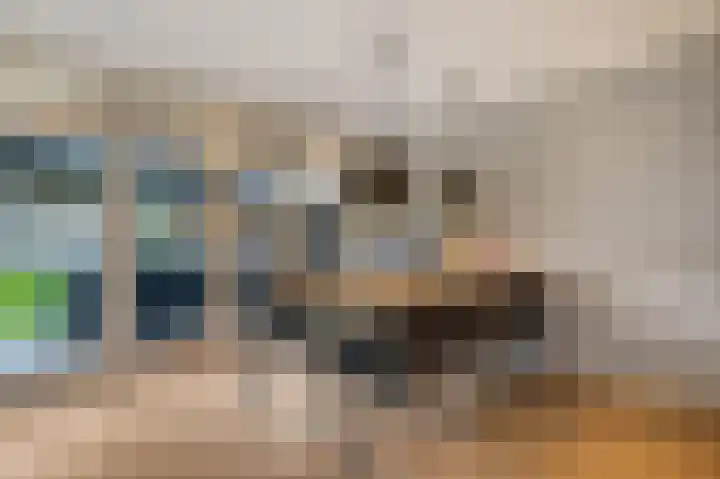 Wadensteinlaan 11 Tiel thumbnail 15