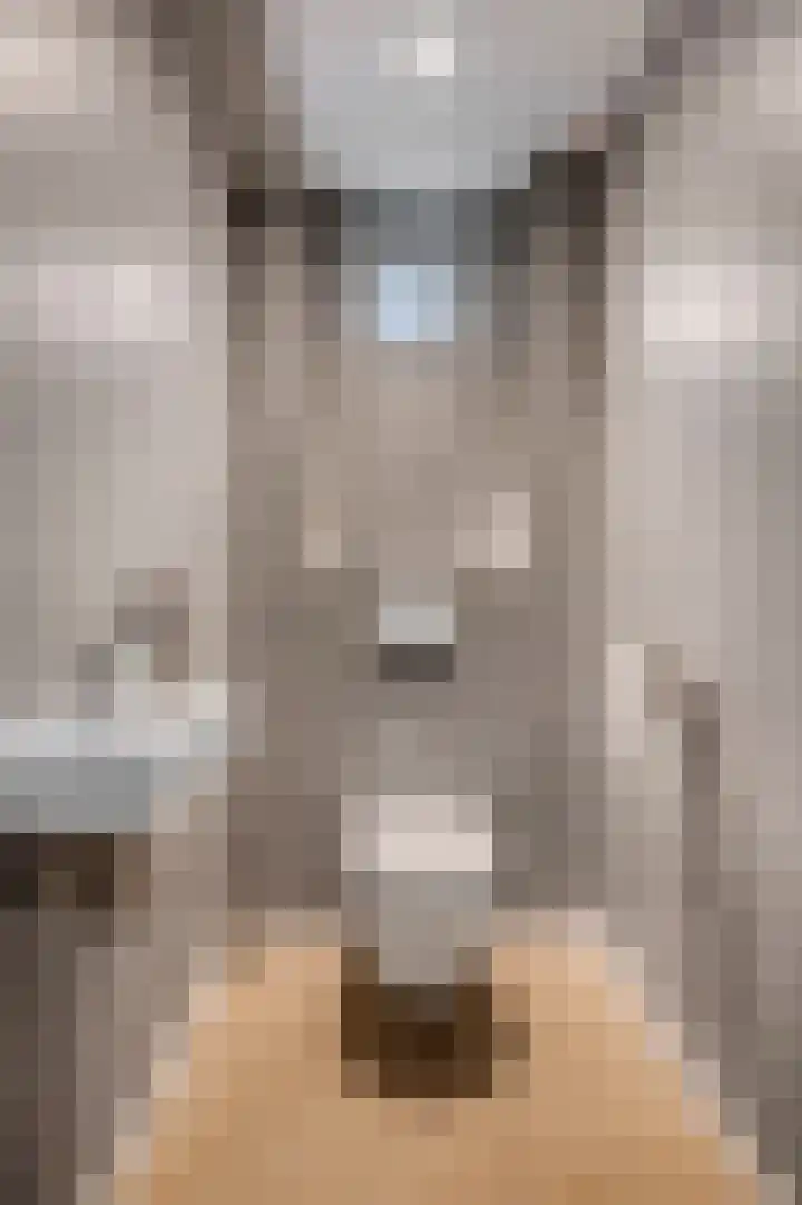 Wadensteinlaan 11 Tiel thumbnail 17
