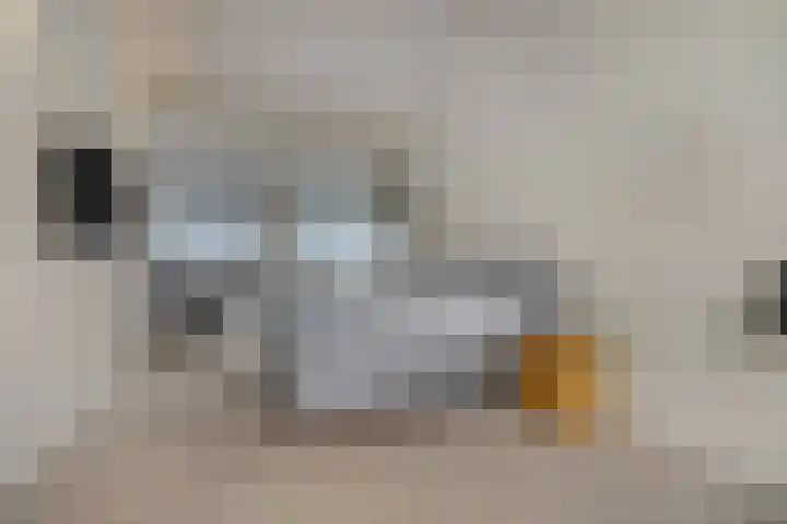 Wadensteinlaan 11 Tiel thumbnail 19