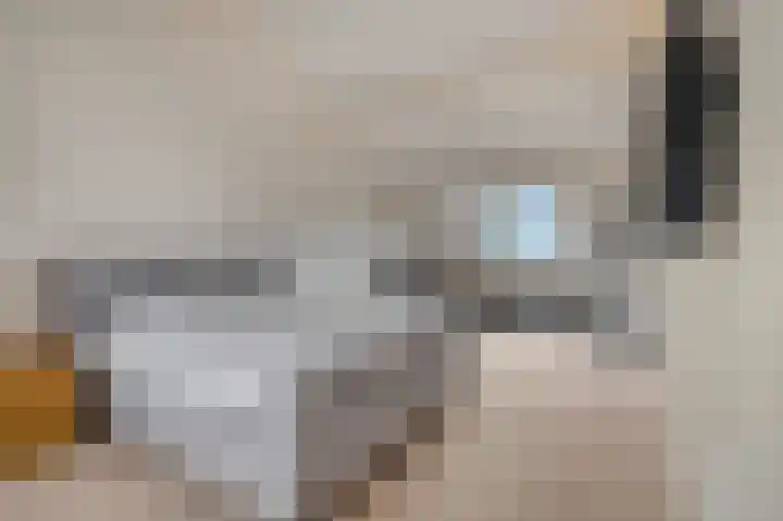 Wadensteinlaan 11 Tiel thumbnail 20