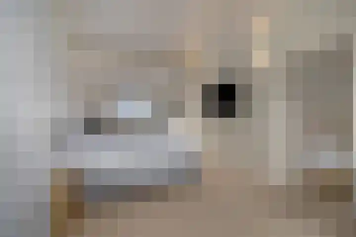 Wadensteinlaan 11 Tiel thumbnail 21
