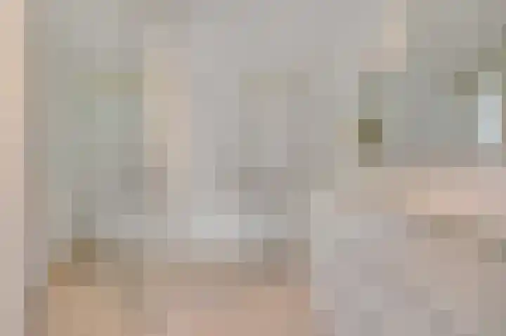 Wadensteinlaan 11 Tiel thumbnail 23