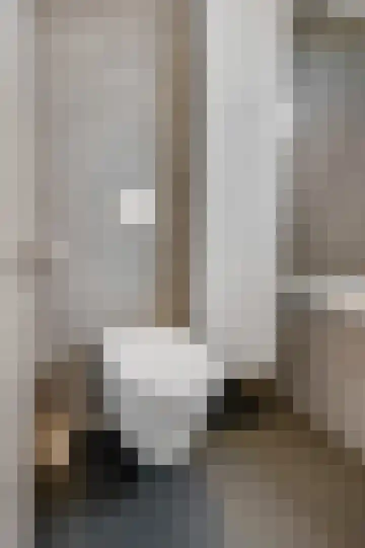 Wadensteinlaan 11 Tiel thumbnail 30