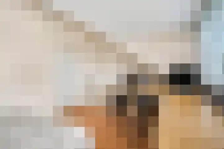 Wadensteinlaan 11 Tiel thumbnail 32