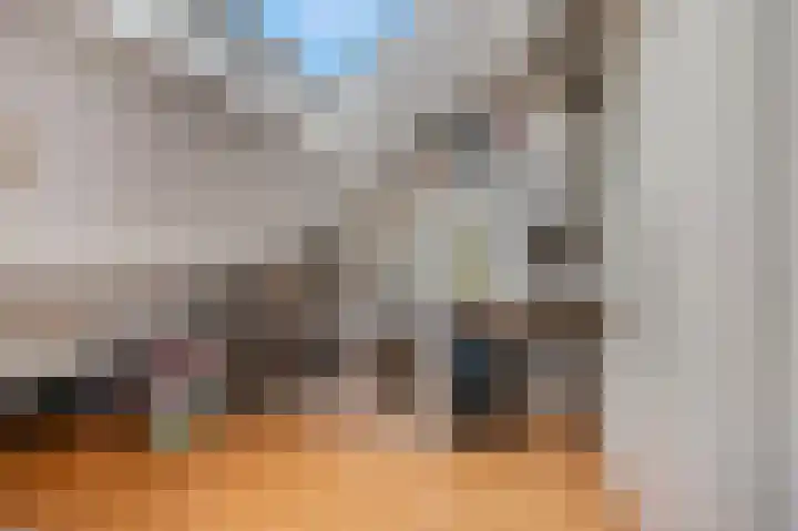 Wadensteinlaan 11 Tiel thumbnail 33
