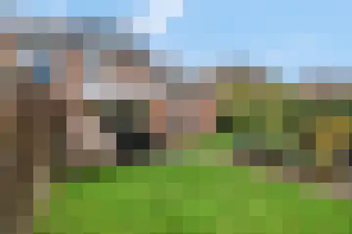 Wadensteinlaan 11 Tiel thumbnail 37