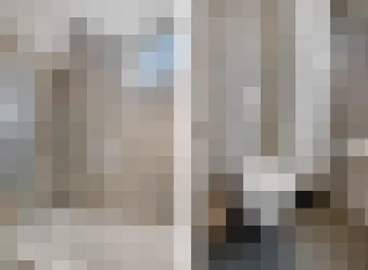 Wadensteinlaan 11 Tiel thumbnail 4