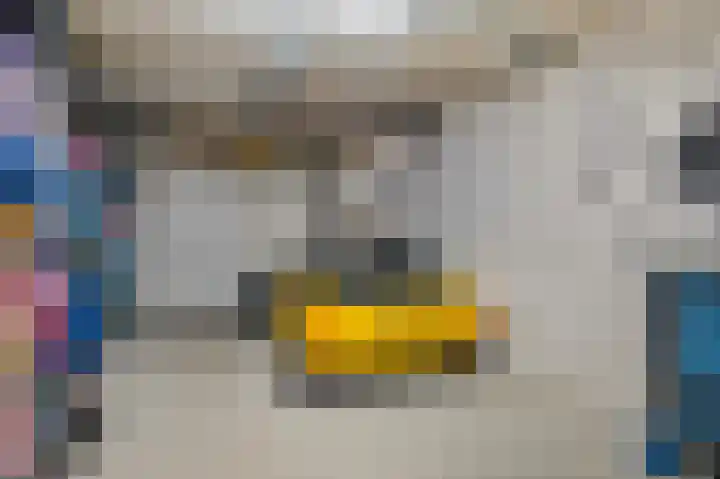 Wadensteinlaan 11 Tiel thumbnail 41