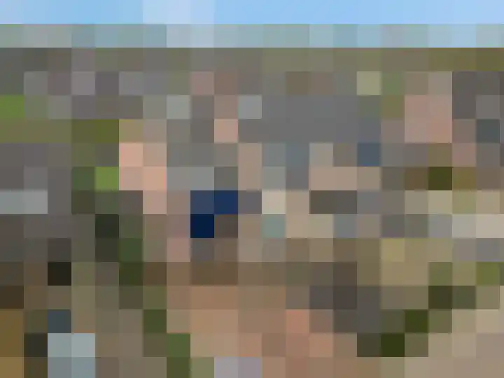 Wadensteinlaan 11 Tiel thumbnail 5
