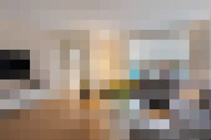 Wadensteinlaan 11 Tiel thumbnail 7