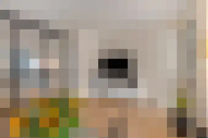 Wadensteinlaan 11 Tiel thumbnail 8