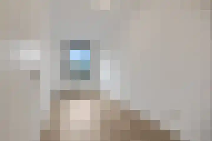 Wadestein 13 Ede thumbnail 10