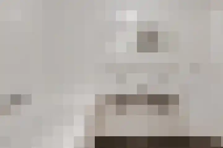 Wadestein 13 Ede thumbnail 13