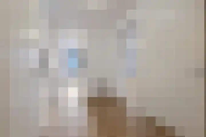 Wadestein 13 Ede thumbnail 14