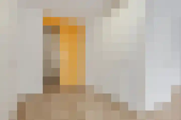 Wadestein 13 Ede thumbnail 15
