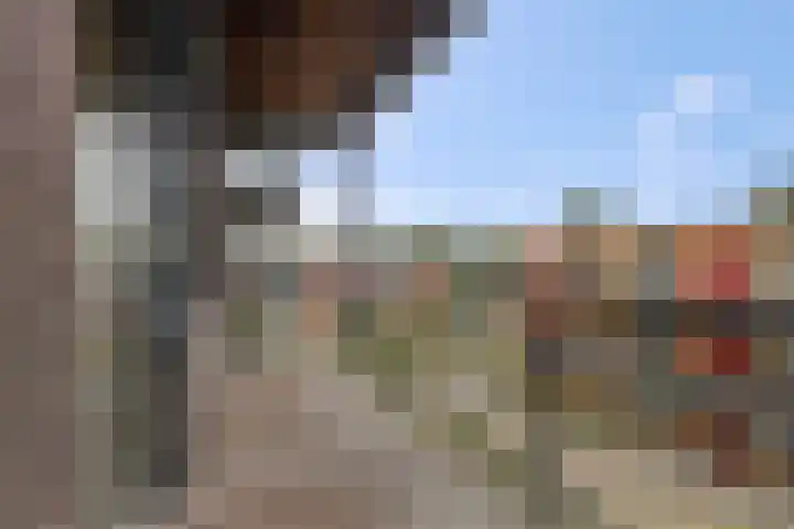 Wadestein 13 Ede thumbnail 18