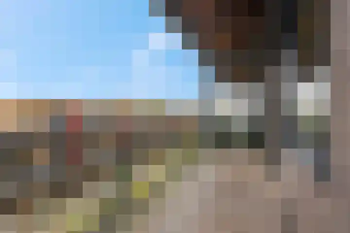 Wadestein 13 Ede thumbnail 19