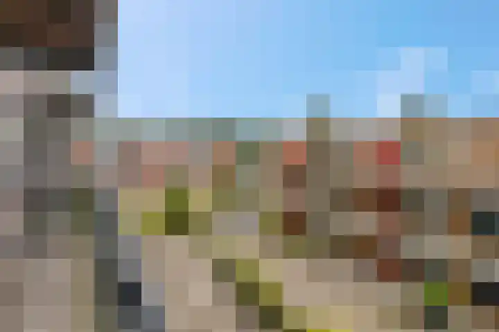 Wadestein 13 Ede thumbnail 20