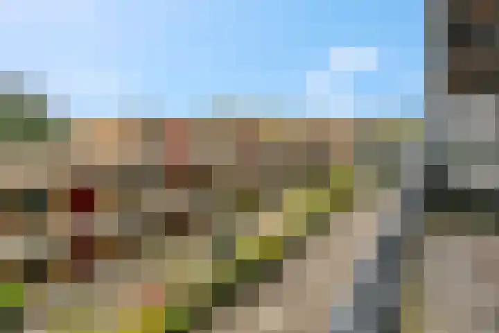Wadestein 13 Ede thumbnail 21