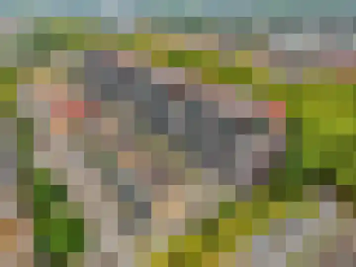 Wadestein 13 Ede thumbnail 30