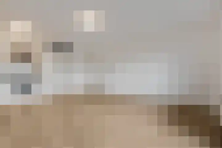 Wadestein 13 Ede thumbnail 4