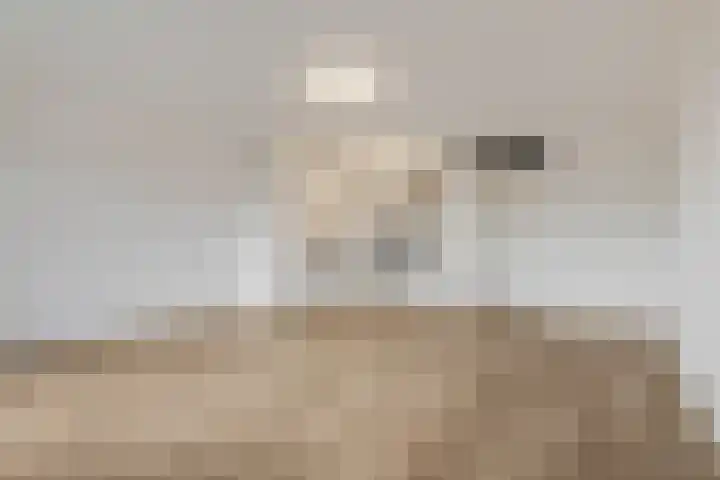 Wadestein 13 Ede thumbnail 5