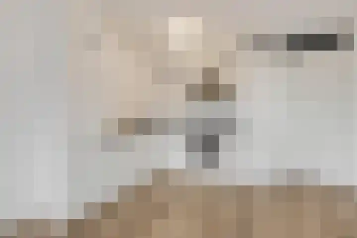 Wadestein 13 Ede thumbnail 6