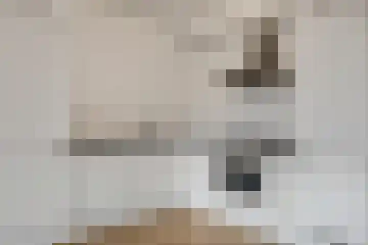 Wadestein 13 Ede thumbnail 7