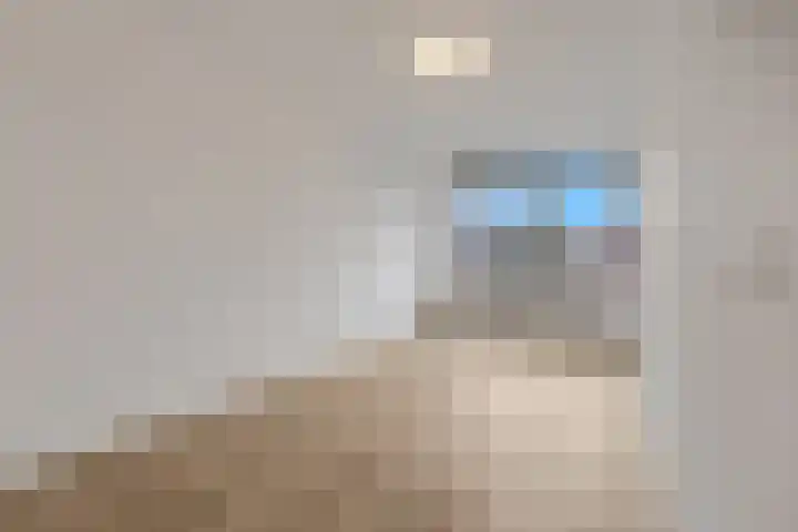 Wadestein 13 Ede thumbnail 8