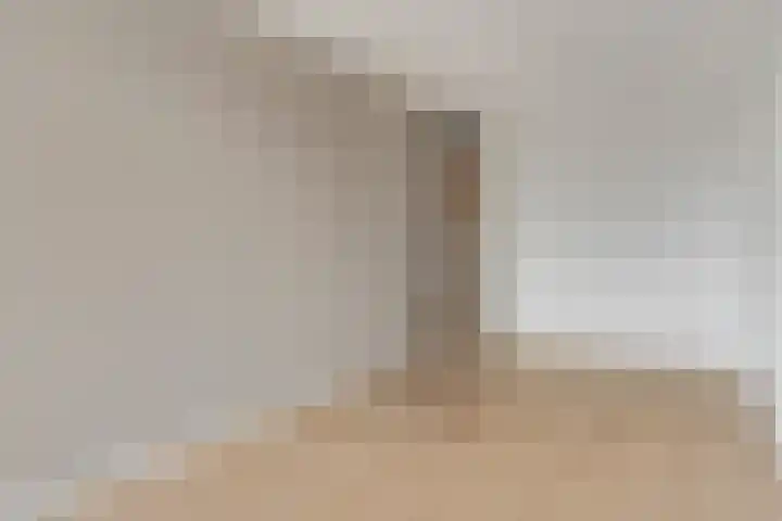 Wadestein 23 Ede thumbnail 11