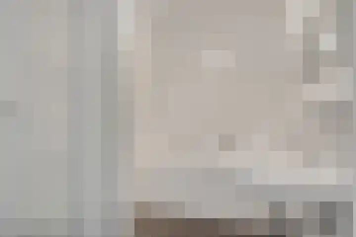 Wadestein 23 Ede thumbnail 12