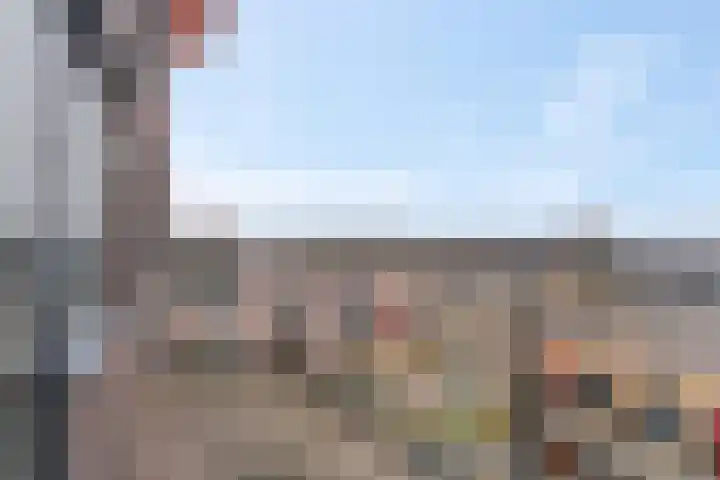 Wadestein 23 Ede thumbnail 21