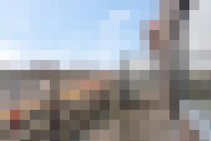Wadestein 23 Ede thumbnail 22