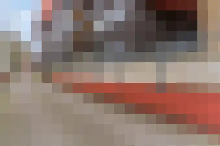 Wadestein 23 Ede thumbnail 27
