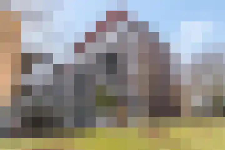 Wadestein 23 Ede thumbnail 30