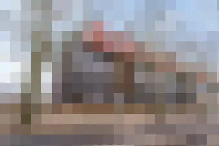 Wadestein 23 Ede thumbnail 32