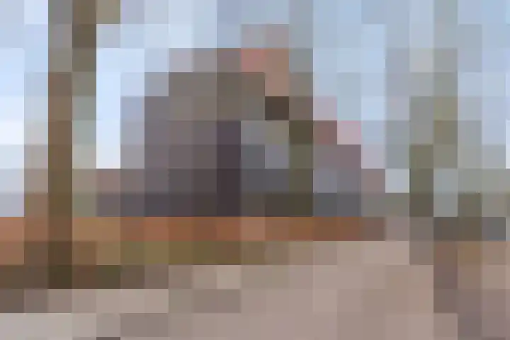 Wadestein 23 Ede thumbnail 33